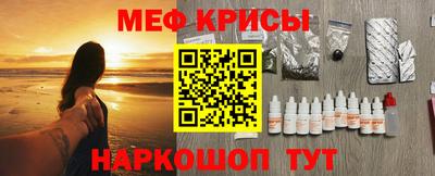 крисы Новозыбков
