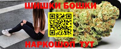 крисы Новозыбков