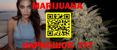 крисы Новозыбков
