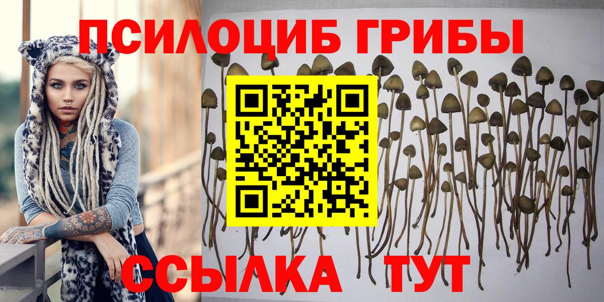 Галлюциногенные грибы Magic Shrooms Туапсе