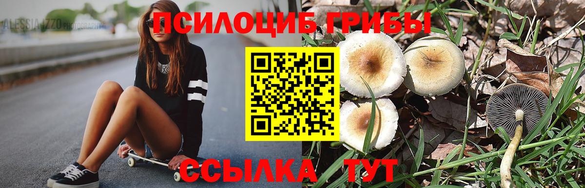 Туапсе  Псилоцибиновые грибы Magic Shrooms  Вход с VPN  Псилоцибиновые грибы прущие грибы 